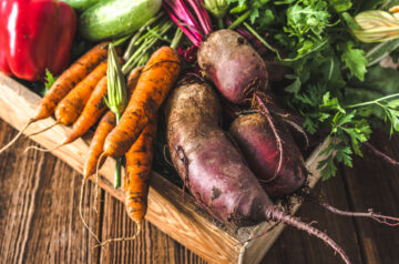 Bio-Lebensmittel. Gartenprodukte und geerntetes Gemüse.