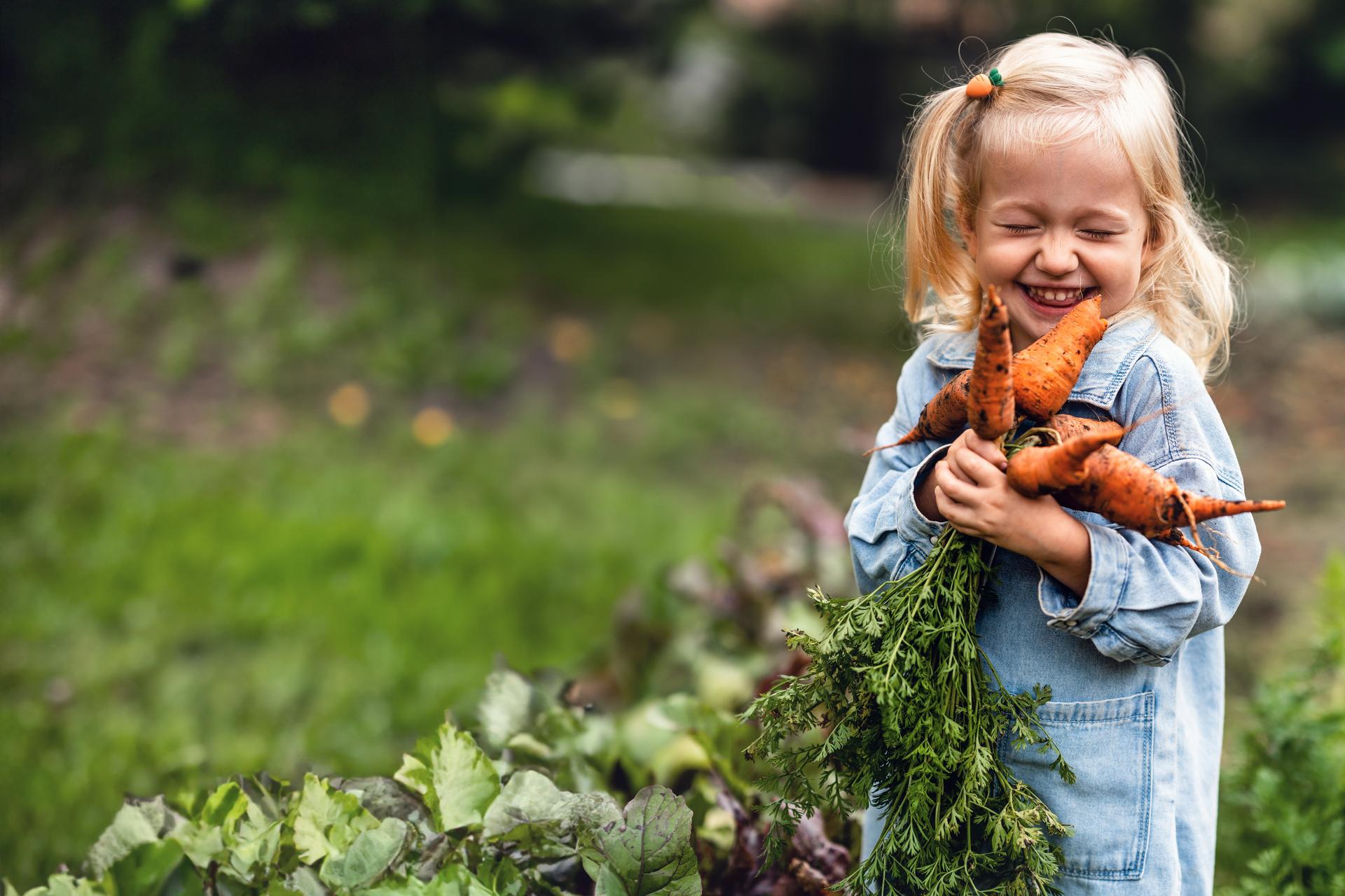 Adorable Kleinkind lächelnd blondes Mädchen hält Karotten im heimischen Garten.