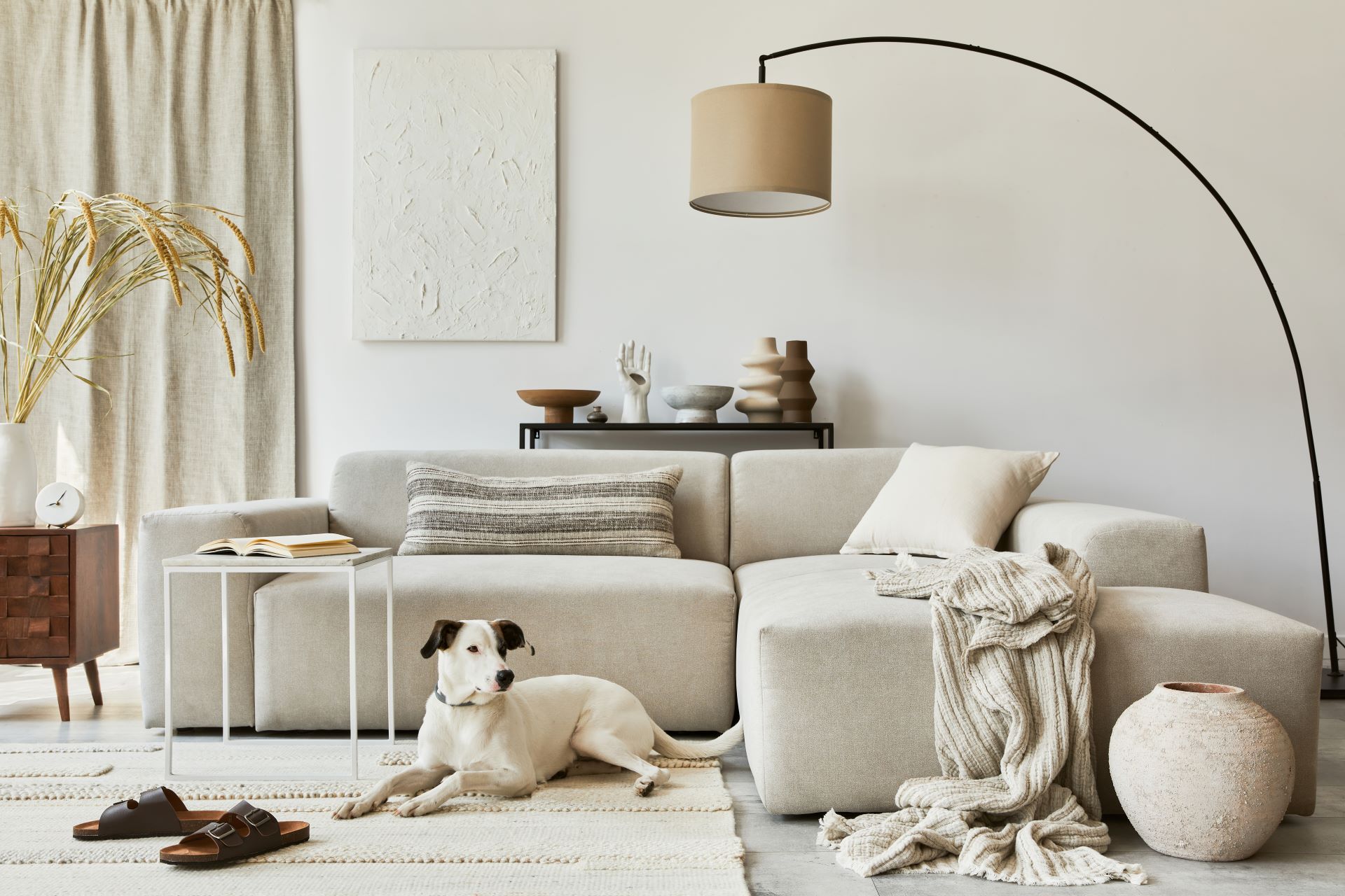 Stilvolle Komposition von gemütlichen Wohnzimmer Innenarchitektur mit Mock-up-Struktur Malerei, Hund, Ecksofa, Couchtisch, Textil-und persönlichen Accessoires. Skandinavischer klassischer Stil.